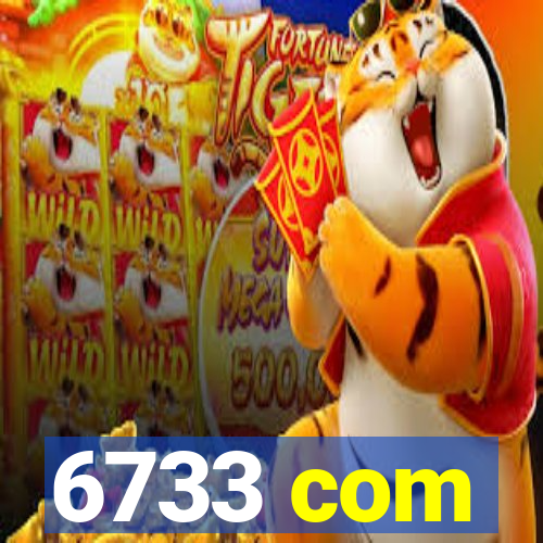 6733 com